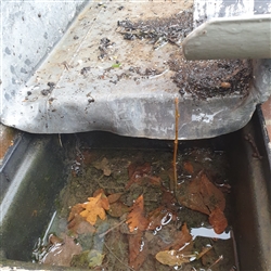 Essential home maintenance - gutter leaks and blockages 